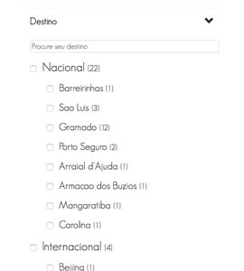 Filtros de Pesquisas